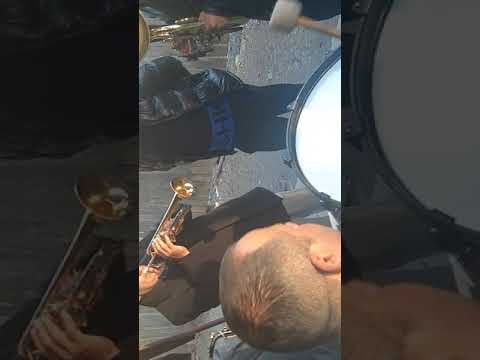 Fanfara lui Ovidiu din Vasului