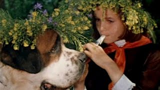 Где ты, Багира? (1976)