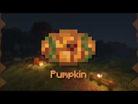 Pumpkin - Fan Made Minecraft Music Disc