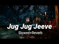 Jug Jug Jeeve [Slowed + Reverb] - Sachet T, Parampara T | Shiddat Song | Lofi Song |Late Night Lofi