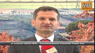 2015-positivo-per-il-vino-settore-in-crescita-in-campania