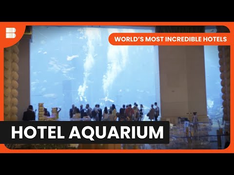Dubai's Atlantis Aquarium - World's Most Incredible Hotels - S01 EP08 - Travel Documentary