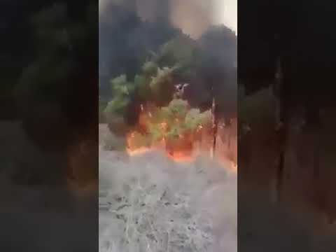 MENGERIKAN @ API BERGERAK DAN BERKUMPUL DI SATU TEMPAT