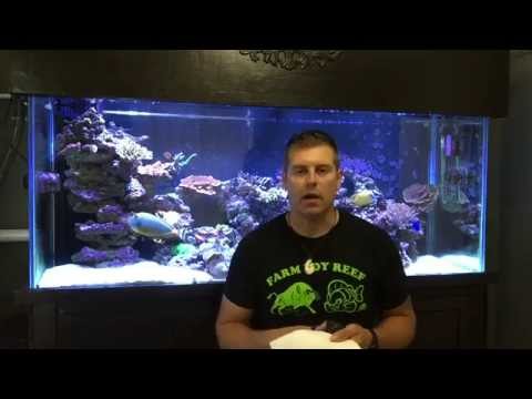 Two Reef tank builds part #3