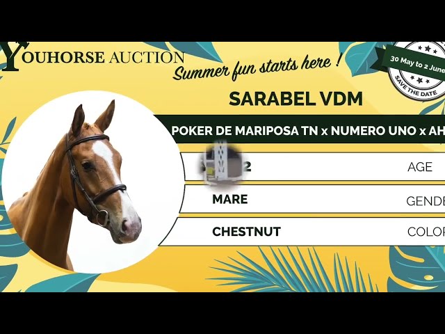 Sarabel homevideo