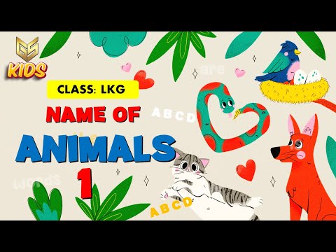 Animal -1 - LKG - EVS - Gyansrota Kids