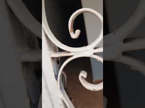 vistoria Rua Palmital 571 B.Sao João Bom Despacho MG  vídeo 1, em 02.12.2025