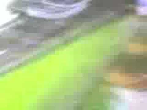 Rijsoord Ultras - Jelelelele VV Rijsoord