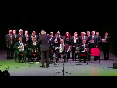 Kori Lira Nder i Kombit "Naten e mire"#korilira#korce#serenate#albania #muzikeshqip