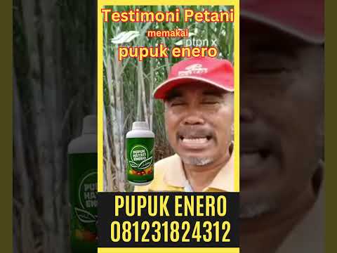 WA 0812-3182-4312 Jual mamigro cair siap kirim Anggrek, Gorontalo Utara