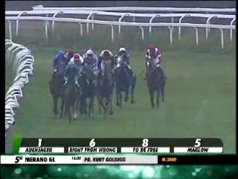 29/09/2013, Merano , Premio Kurt Goldegg