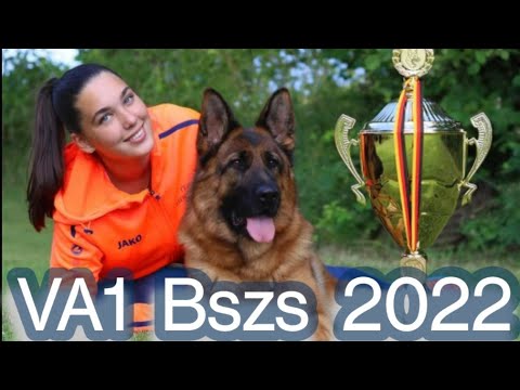 World Champion 2022 || VA1 Simba Vom Huhnegrab || BSZS ||