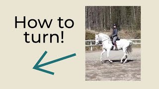 How to steer a horse (what to do with your seat, hands and legs)