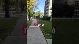 Tết năm nay có 4 hiện tượng lạ 