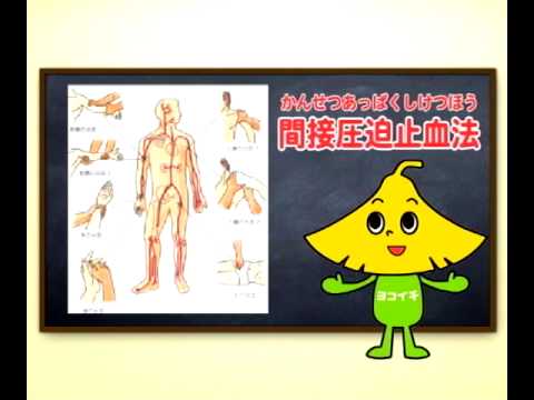 みんなにもできる応急手当～止血
