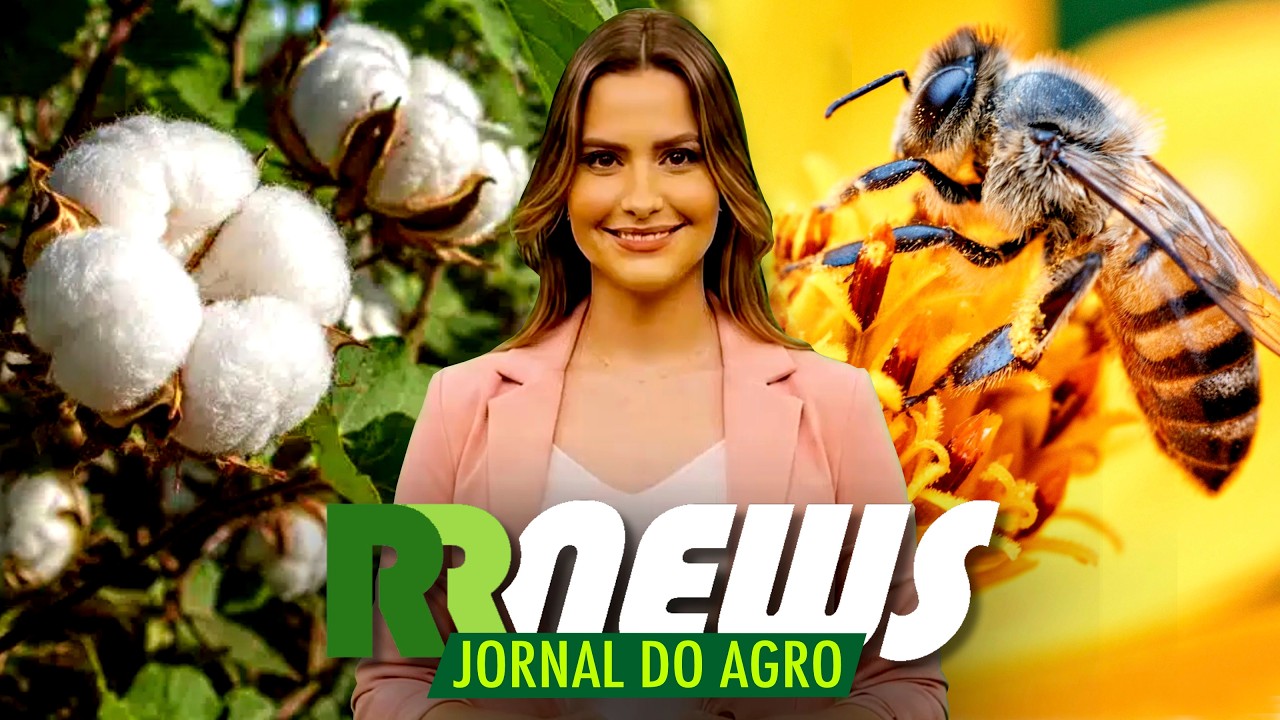 RRNEWS - O Jornal do Agro - 26/09/2026