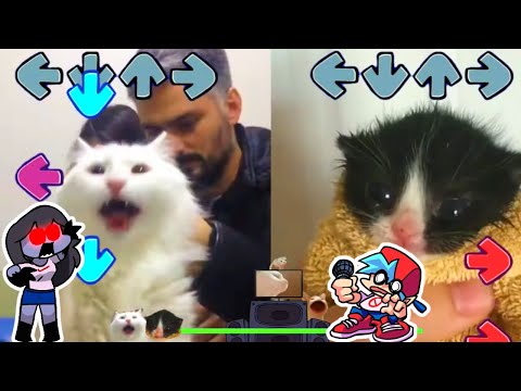 Sky MANIFEST BUT TURKISH CAT VS TOWEL KITTEN - Friday Night Funkin Animation - Sky Phase 2