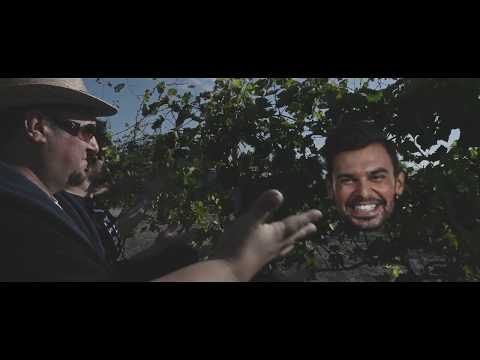 Polgár Peti - Bulizzatok magyarok! (Offipixál videó)