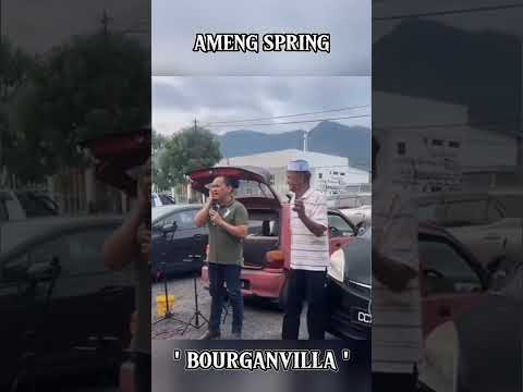 Ameng Spring Bourganvilla live