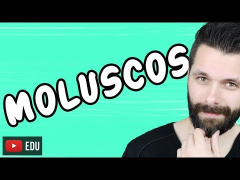 MOLUSCOS - REINO ANIMALIA - ZOOLOGIA  - Aula | Biologia com Samuel Cunha