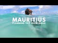 Mauritius Planning Mauritius Tour From India Mauritius Travel Vlog