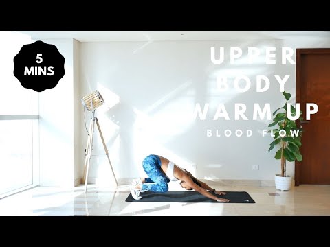 Upper Body Warm Up // 5 MIN - Modifications included!
