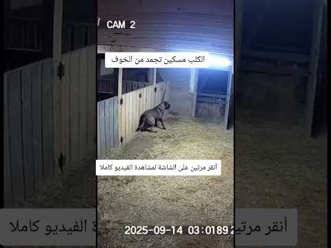 التذكير اليومي لمحاربة راكبي الأمواج 💪💪