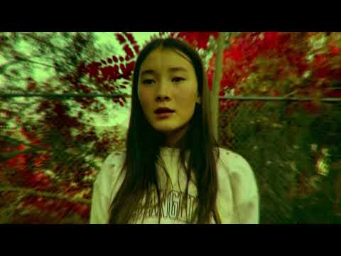 Video $Beyond the Gate