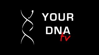 Download lagu Your DNA TV. Episode 2. 2015 mp3