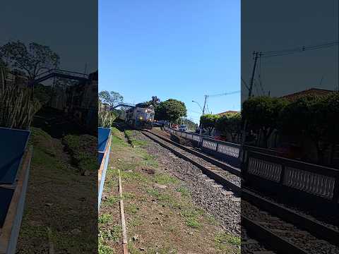 Cândido Rodrigues sp
