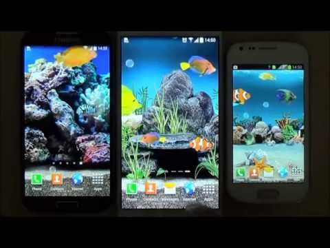 Aquarium Live Wallpaper video