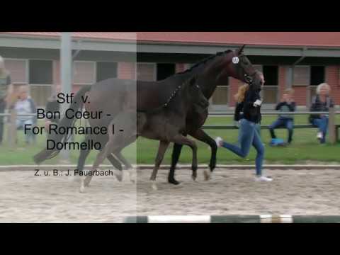 Stf v Bon Coeur x For Romance I x Dormello 2019