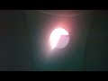 Martha Speaks Funding On WHYY November 18 2014 In Peephole Vignette