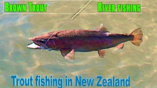 Download Lagu Trout Fishing Wheao u0026 Flaxy Waters for BIG Trout in NZ Ep 136 Thumbnail