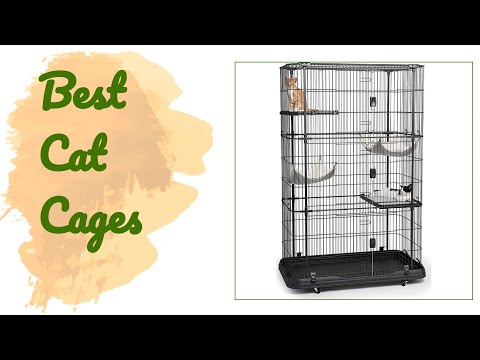 🌵7 Best Cat Cages 2020