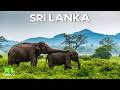 Sri Lanka Die Schönste Insel Unserer Erde Doku XL Doku Deutschland
