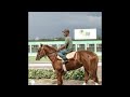 Danial Ceaser Horsepower 432hz