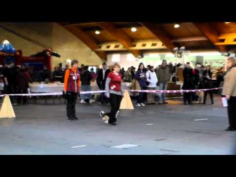 Tika blakus 23032014