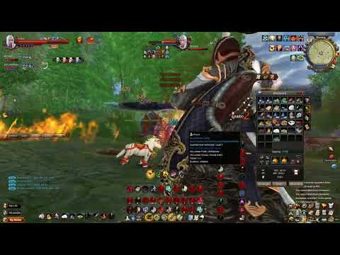 3v3 ft. Serious Lag (Age of Wushu)