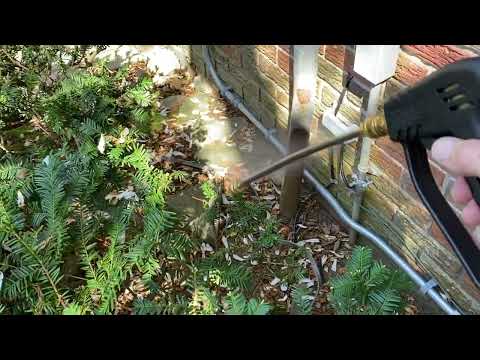 Eliminating the Ants on the Side of the Home in Monroe Township, NJ