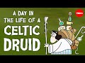A Day In The Life Of A Celtic Druid Philip Freeman