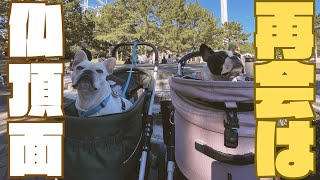 半年振りのぶる祭で久しぶりの再会！