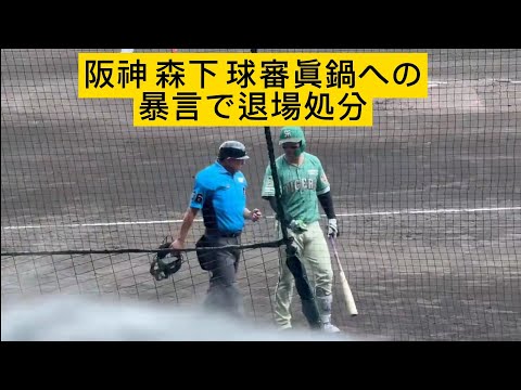 阪神 森下翔太 暴言で退場 直前の球審眞鍋のストライク判定に不満げな様子 #森下翔太 #sports #阪神タイガース #タイガース #プロ野球 #野球 #森下 #baseball #甲子園 #阪神