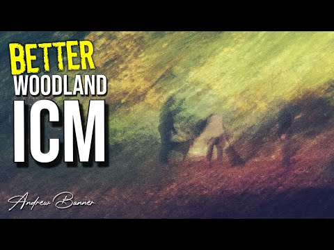 5 ICM tips for Woodland - Intentional Camera Movement