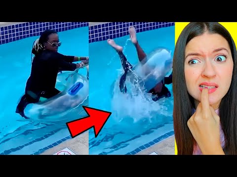 LA GENTE PIÙ STUPIDA DI TIKTOK