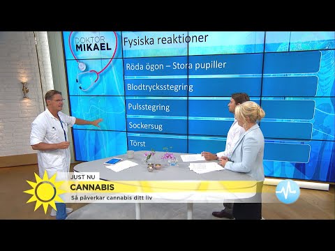 , title : 'Dr Mikael – så påverkar cannabis ditt liv - Nyhetsmorgon (TV4)'