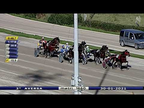 Aversa trotto 30 Gennaio 2021 - 3° Corsa