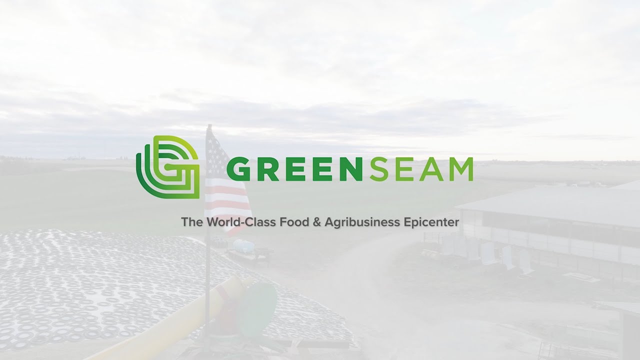 About GreenSeam