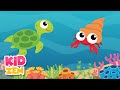 12 HOURS of Relaxing Baby Sleep Music: Aquarium of Peace 🐢 Lullaby for Babies to go to Sleep