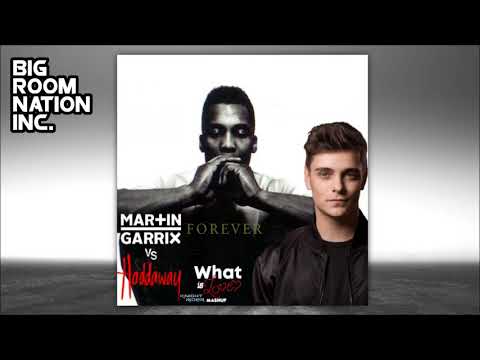 Martin Garrix vs Haddaway - Forever What Is Love (Martin Garrix Tomorrowland 2018 Mashup)